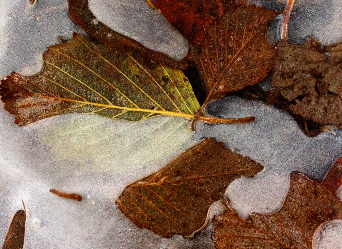 embedded