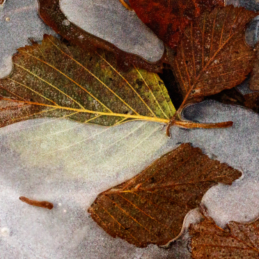 embedded