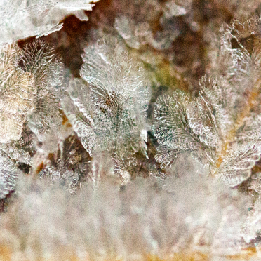 crystals