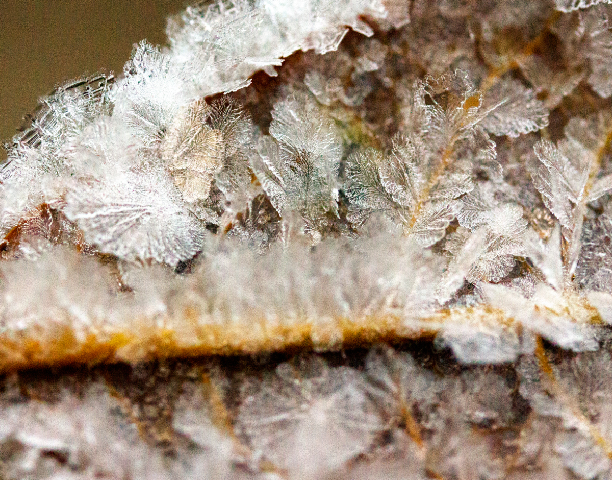 crystals