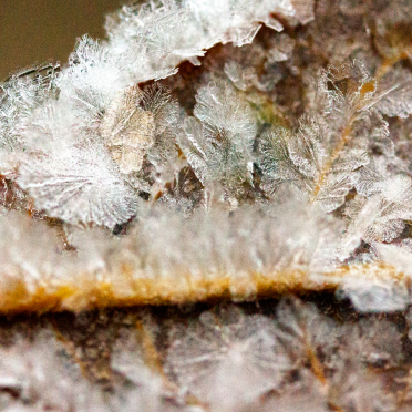 crystals