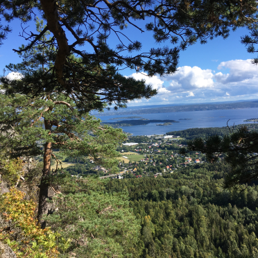 vardåsen