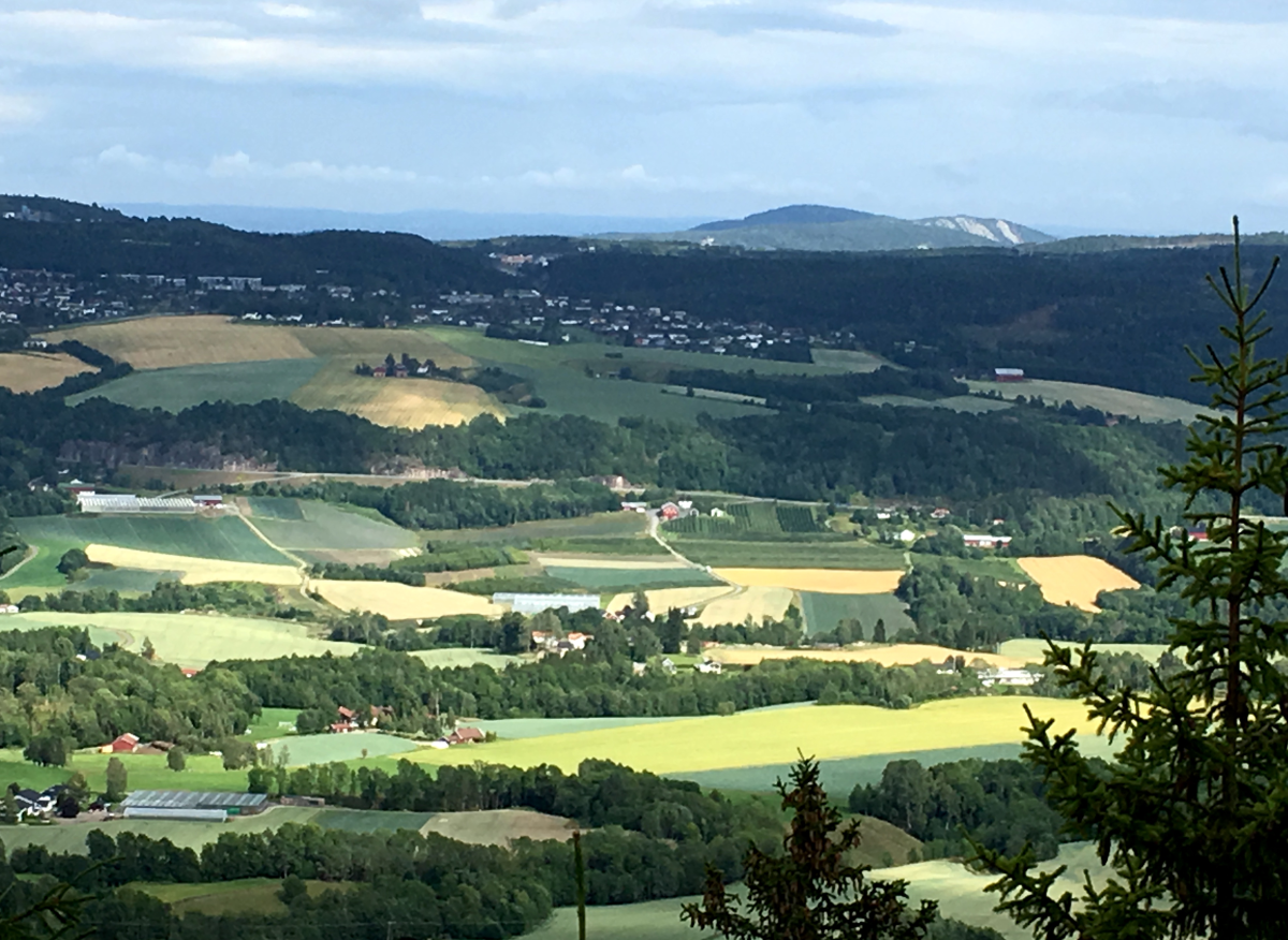 Veslehei towards Vardåsen