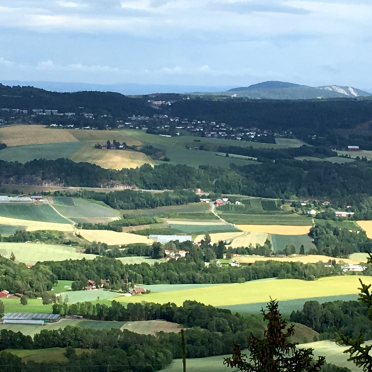 Veslehei towards Vardåsen