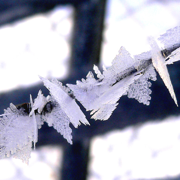 ice