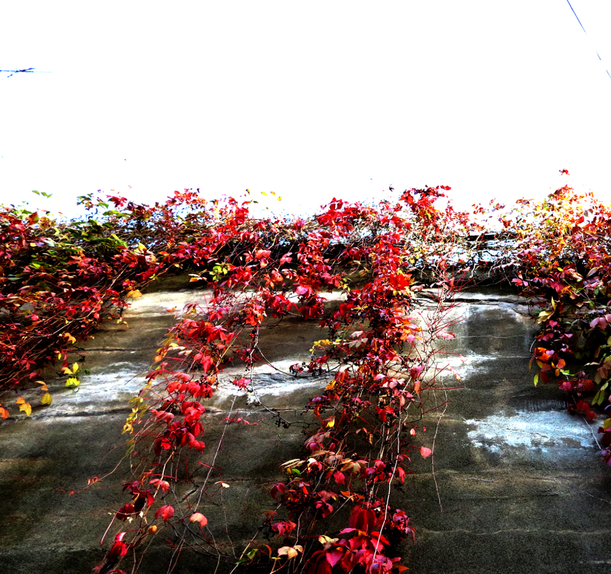 red rain