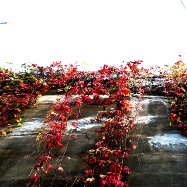 red rain