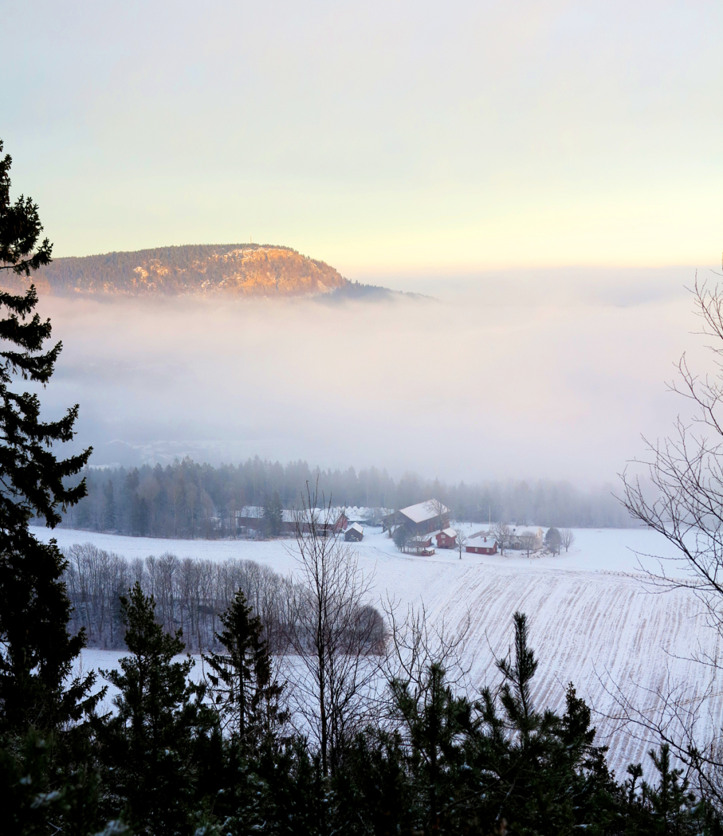 kolsås