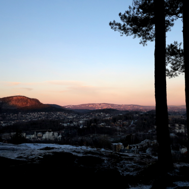 kolsås