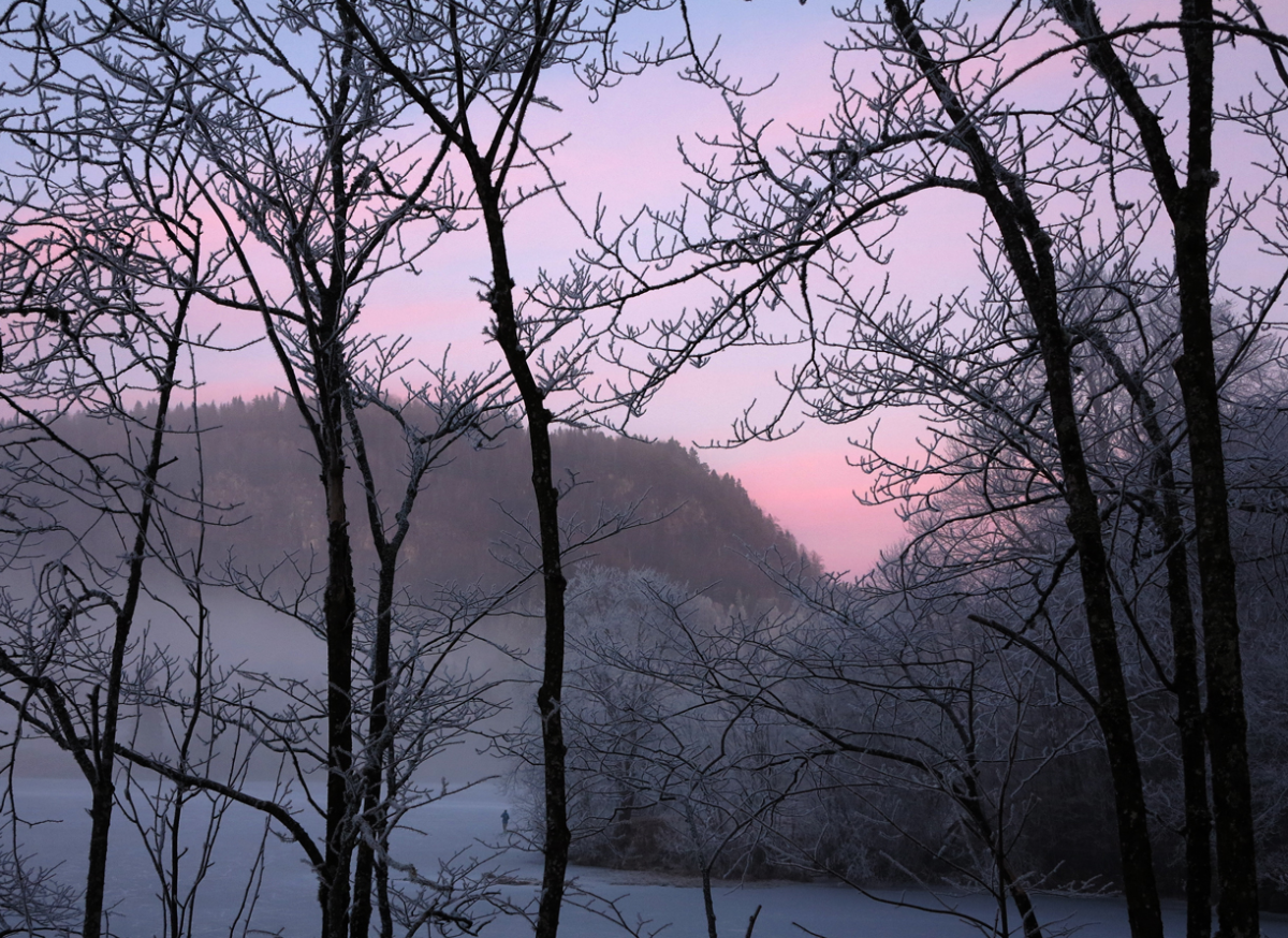 skaugumsåsen
