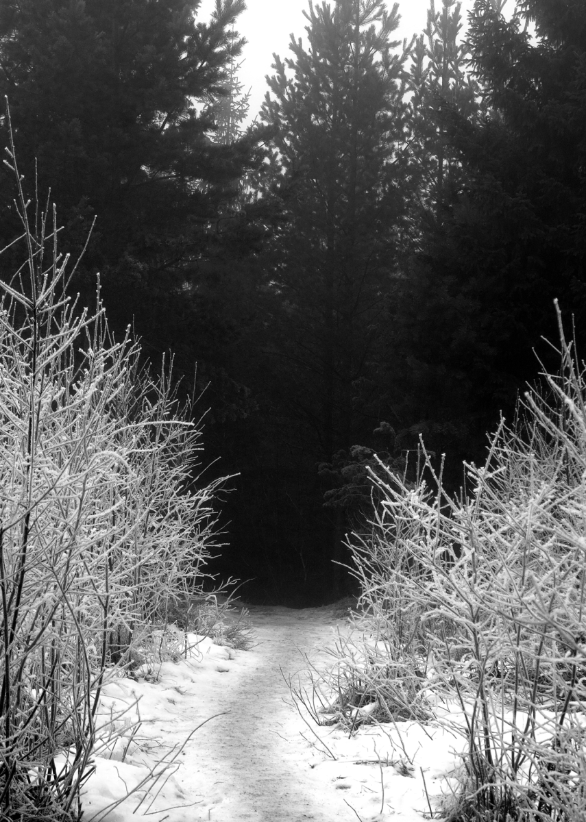 into the dark