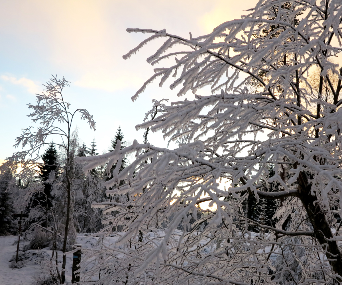 winter magic