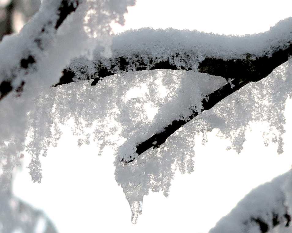 spindrift