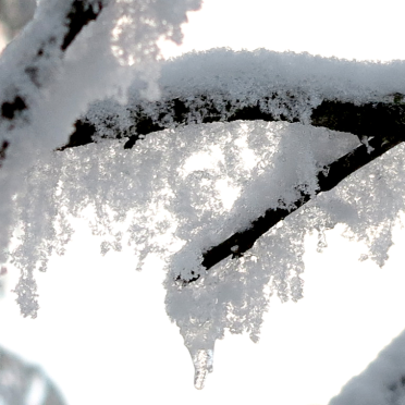 spindrift