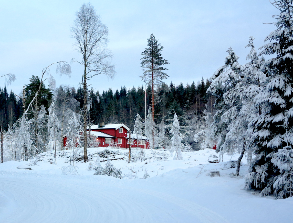 Furuholmen