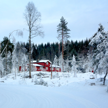 Furuholmen