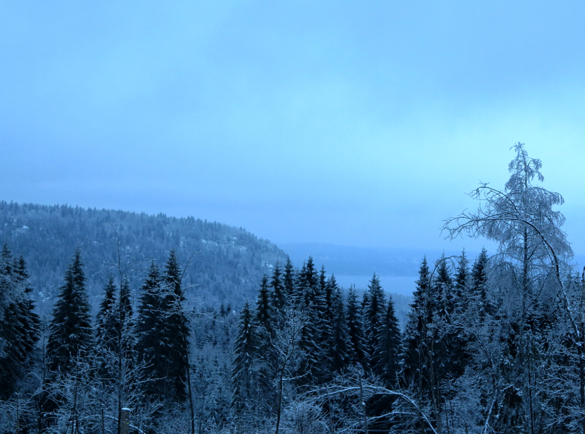 Skaugumsåsen