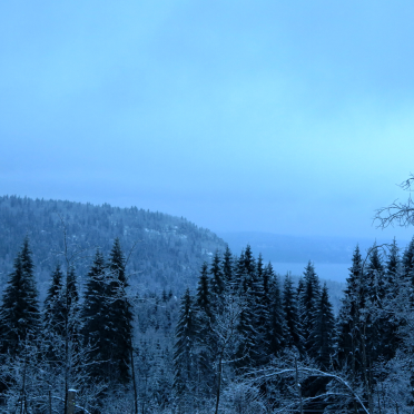 Skaugumsåsen