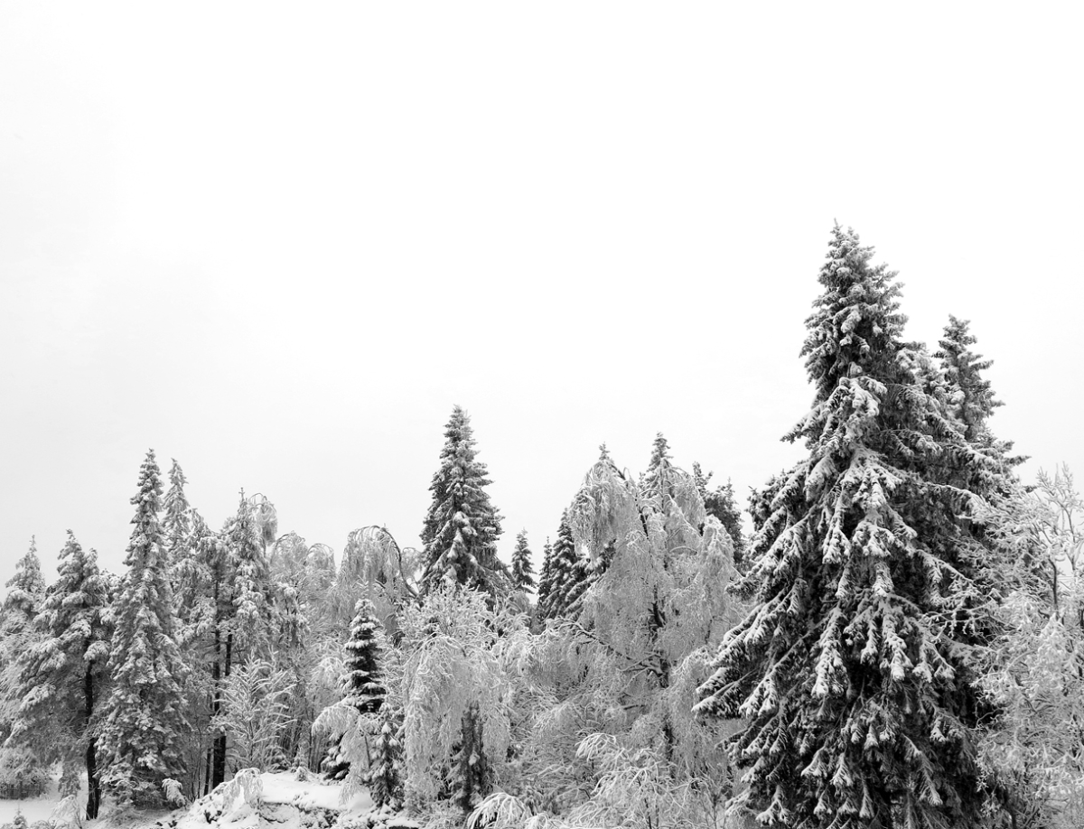 black and white texture