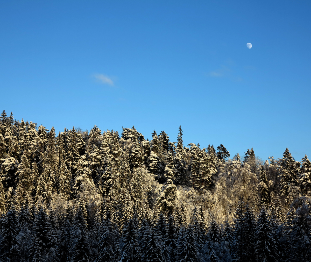 moon