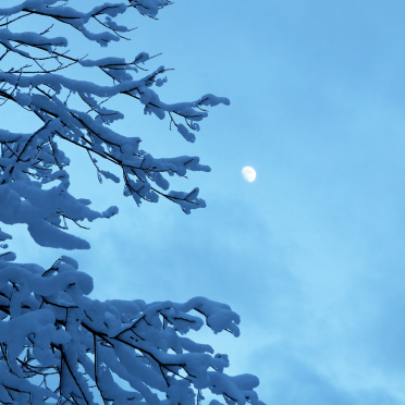 moon