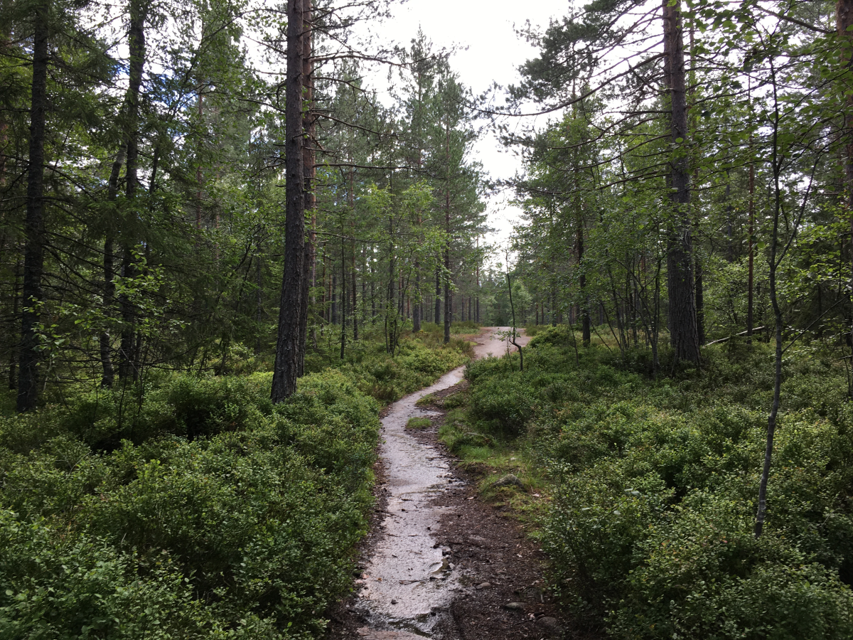 kjekstadmarka