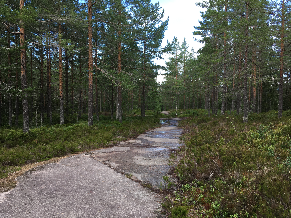 kjekstadmarka