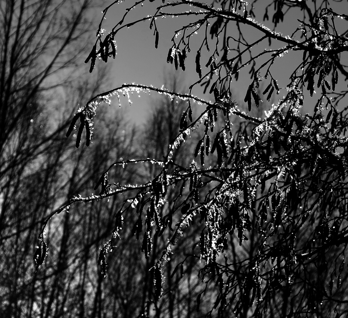 ice crystals