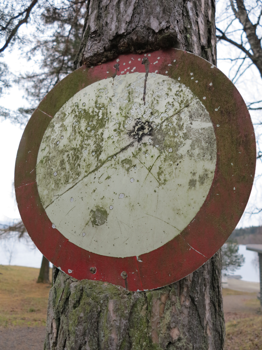 tree and sign