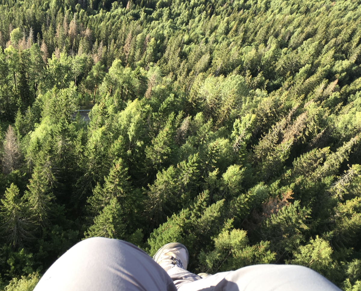 IM FLYING