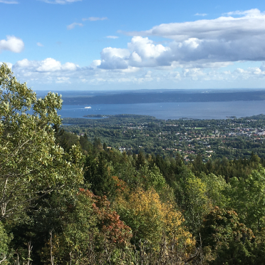 skaugumsåsen
