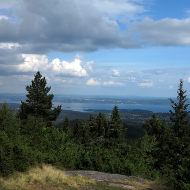 Furuåsen / Hovdehytta