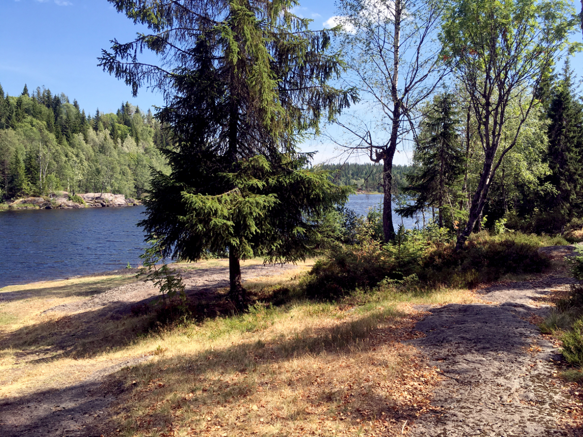 niskinnvann