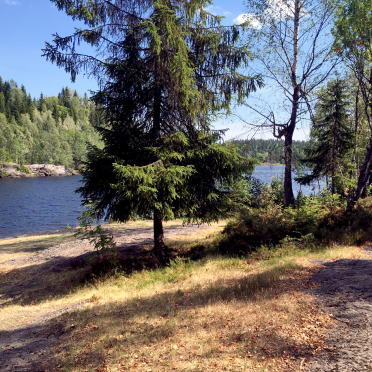 niskinnvann