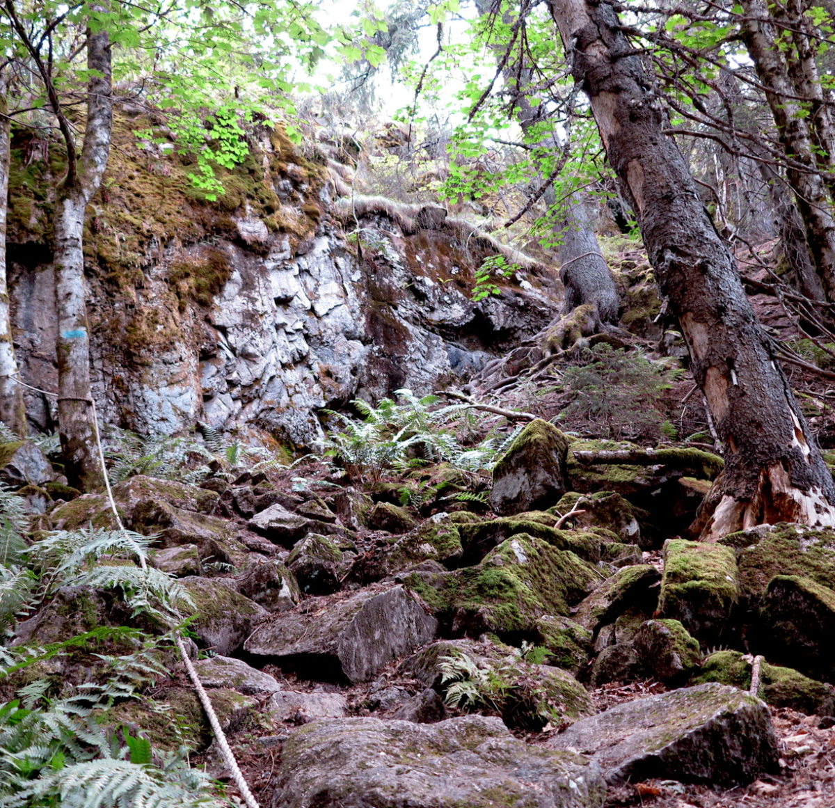 Hovdehytta-Kasteløkka