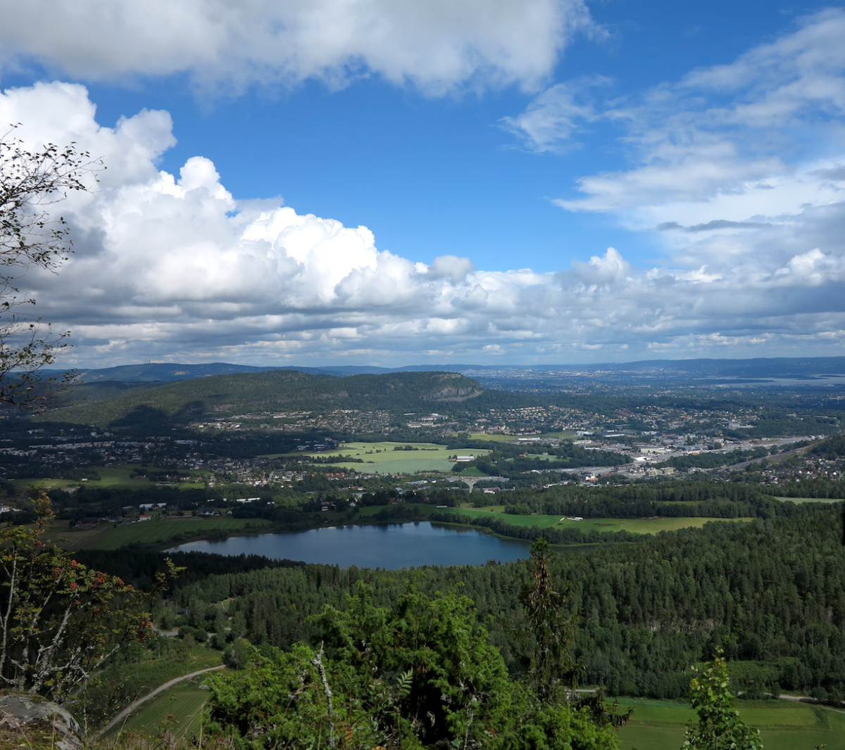 view