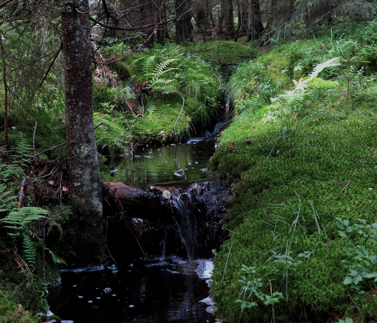 little streams