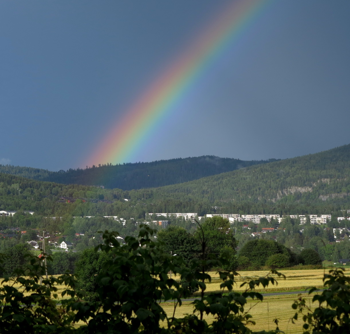 rainbow