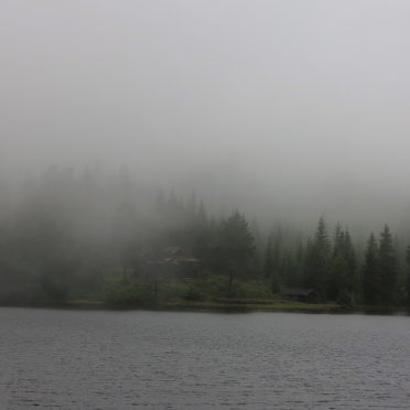 fog