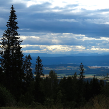 view