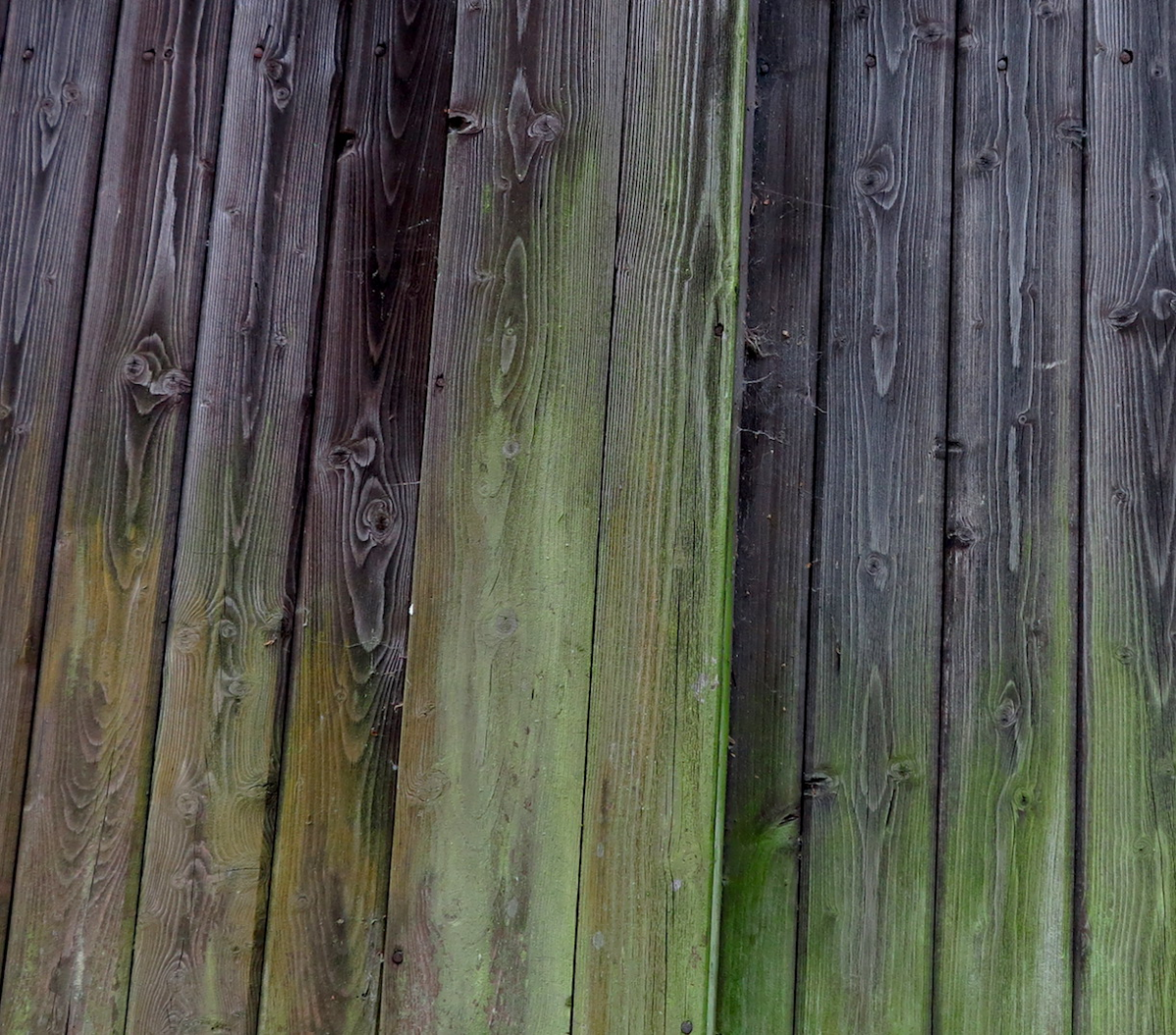 gradients