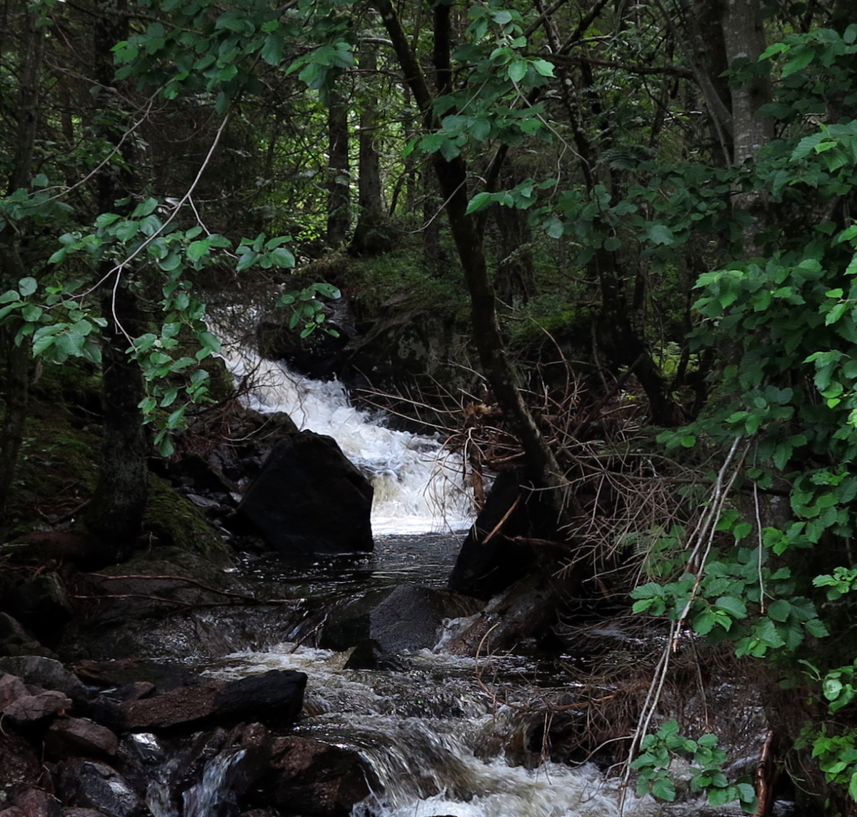 water