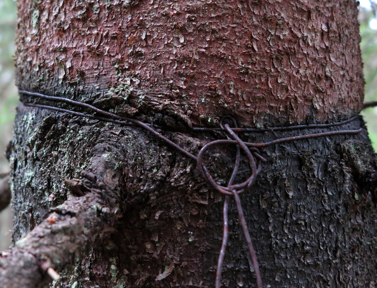wire