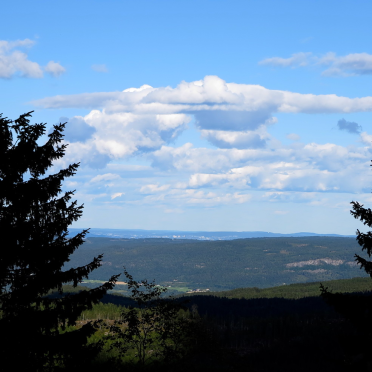 measly view