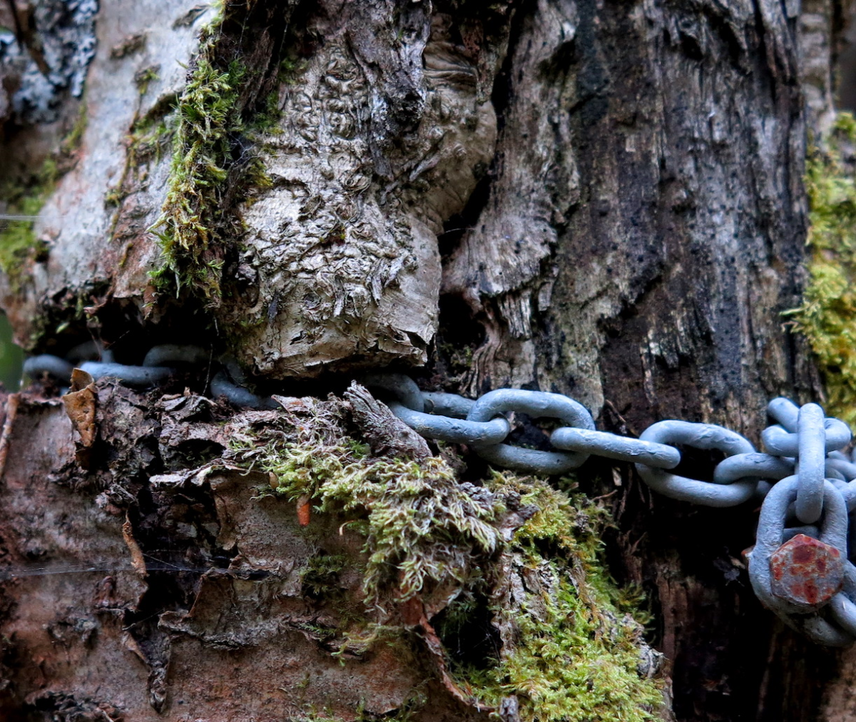 chains