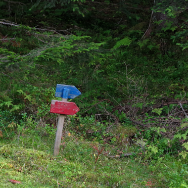 information density: 0