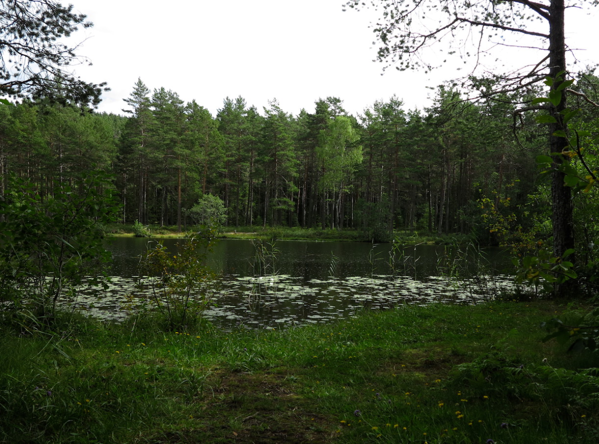 pond