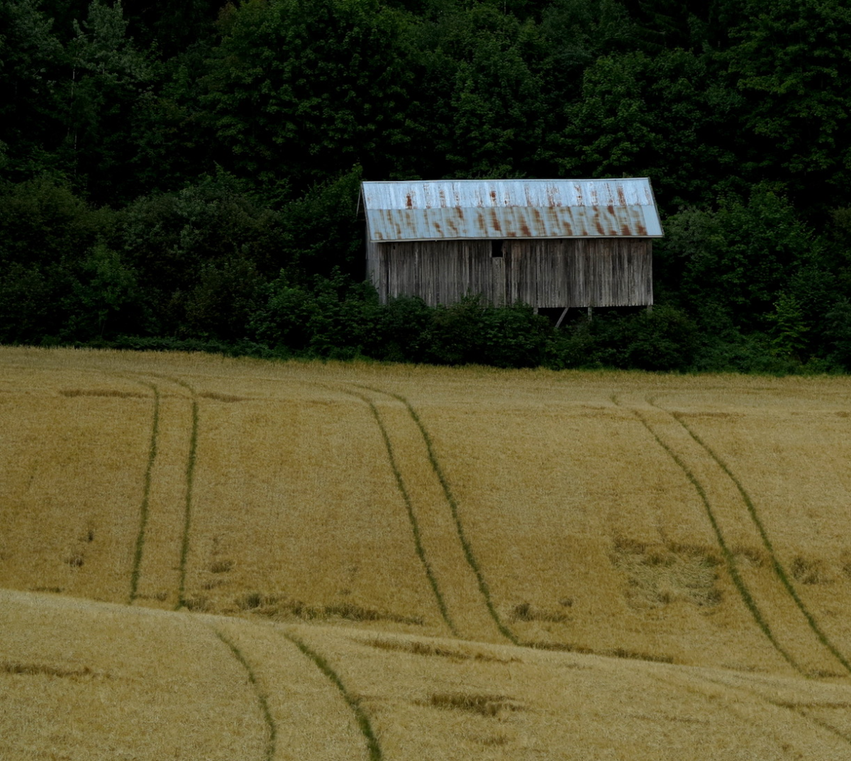 shed