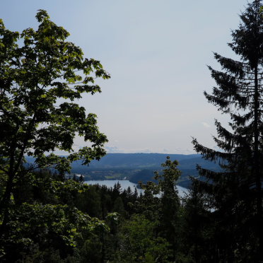view…