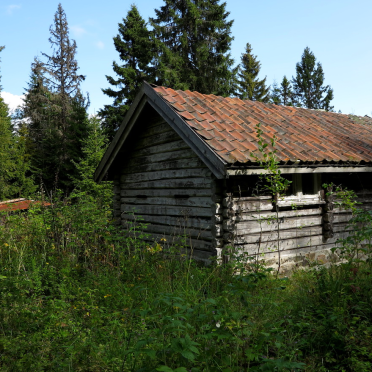 knappnæring